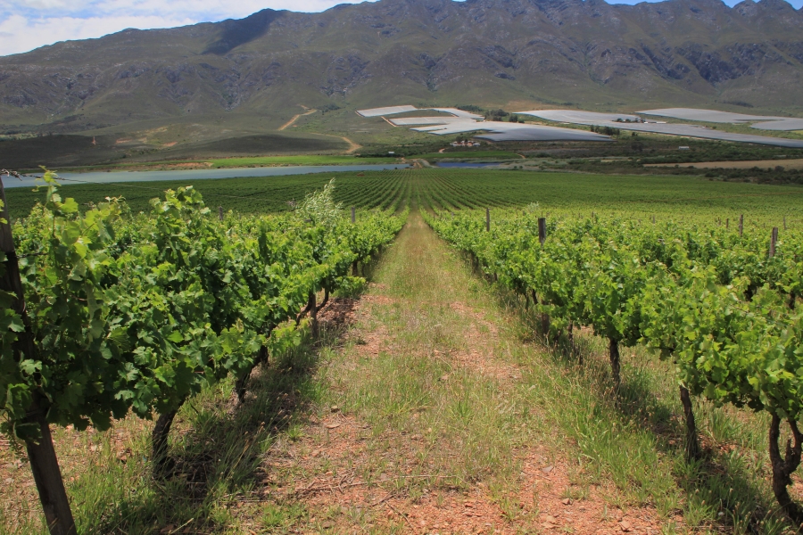 6 Bedroom Property for Sale in Ashton Western Cape